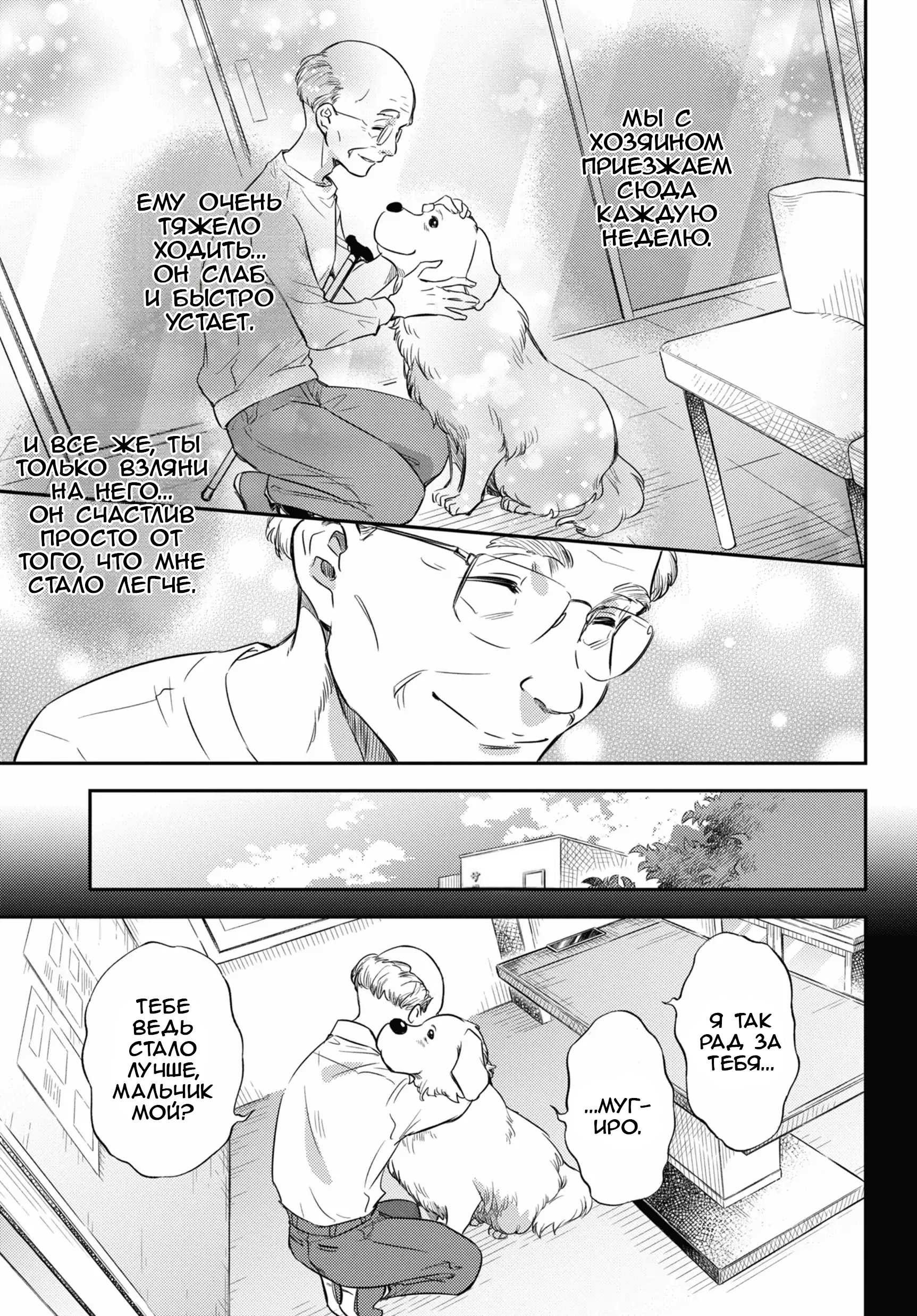 Манга Мужчина и кот - Глава 81 Страница 19