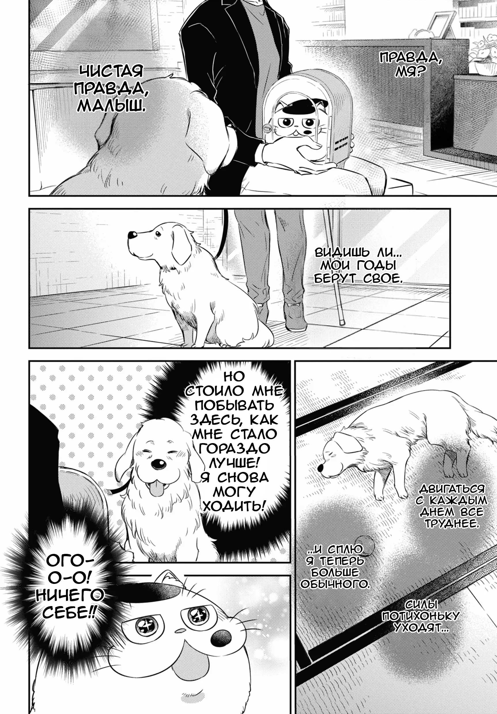 Манга Мужчина и кот - Глава 81 Страница 18