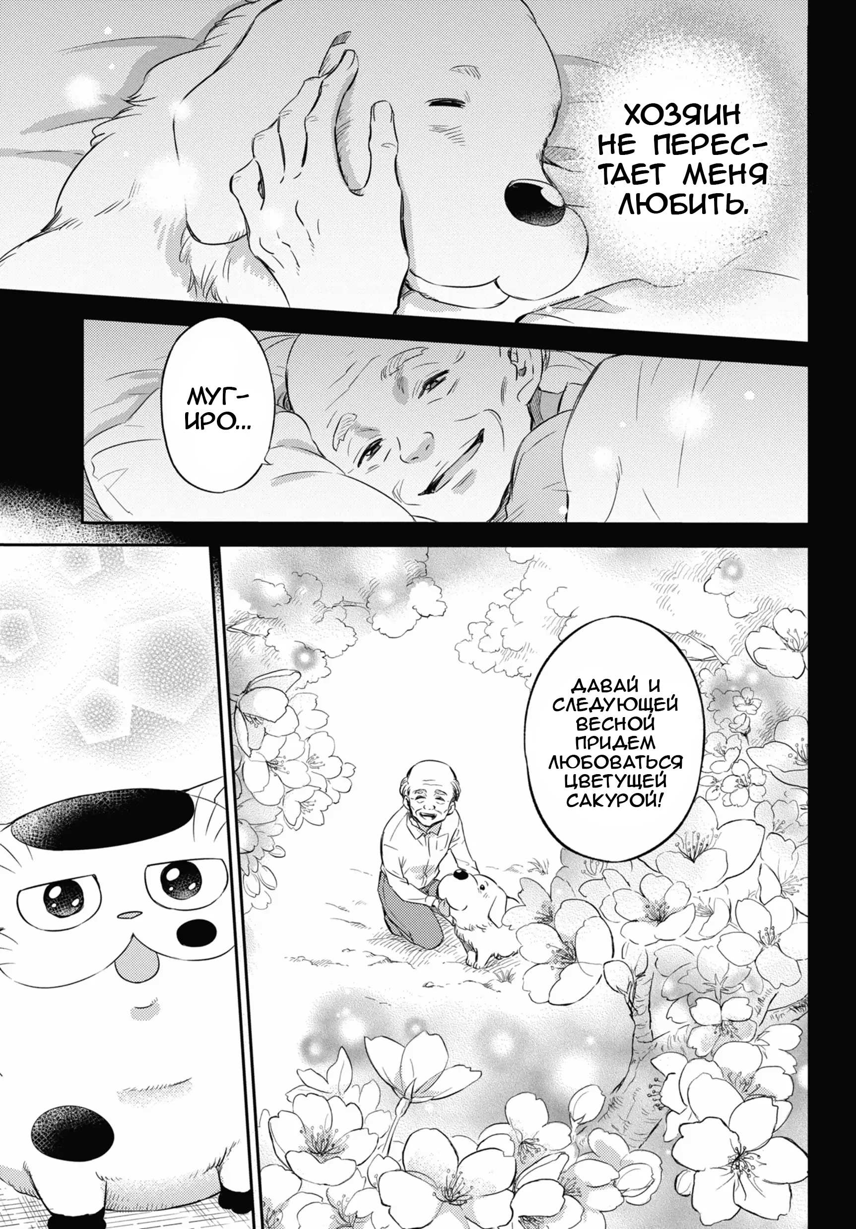 Манга Мужчина и кот - Глава 81 Страница 23