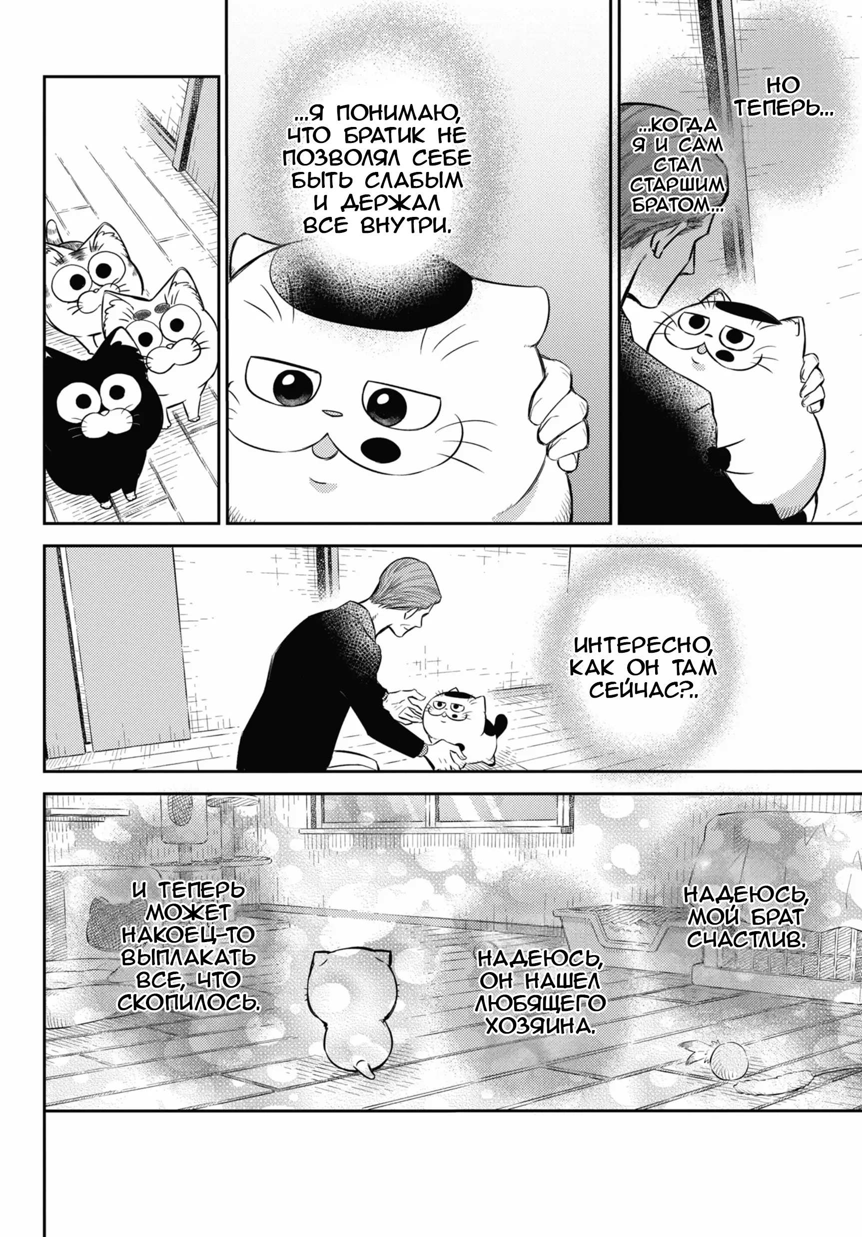 Манга Мужчина и кот - Глава 82 Страница 22