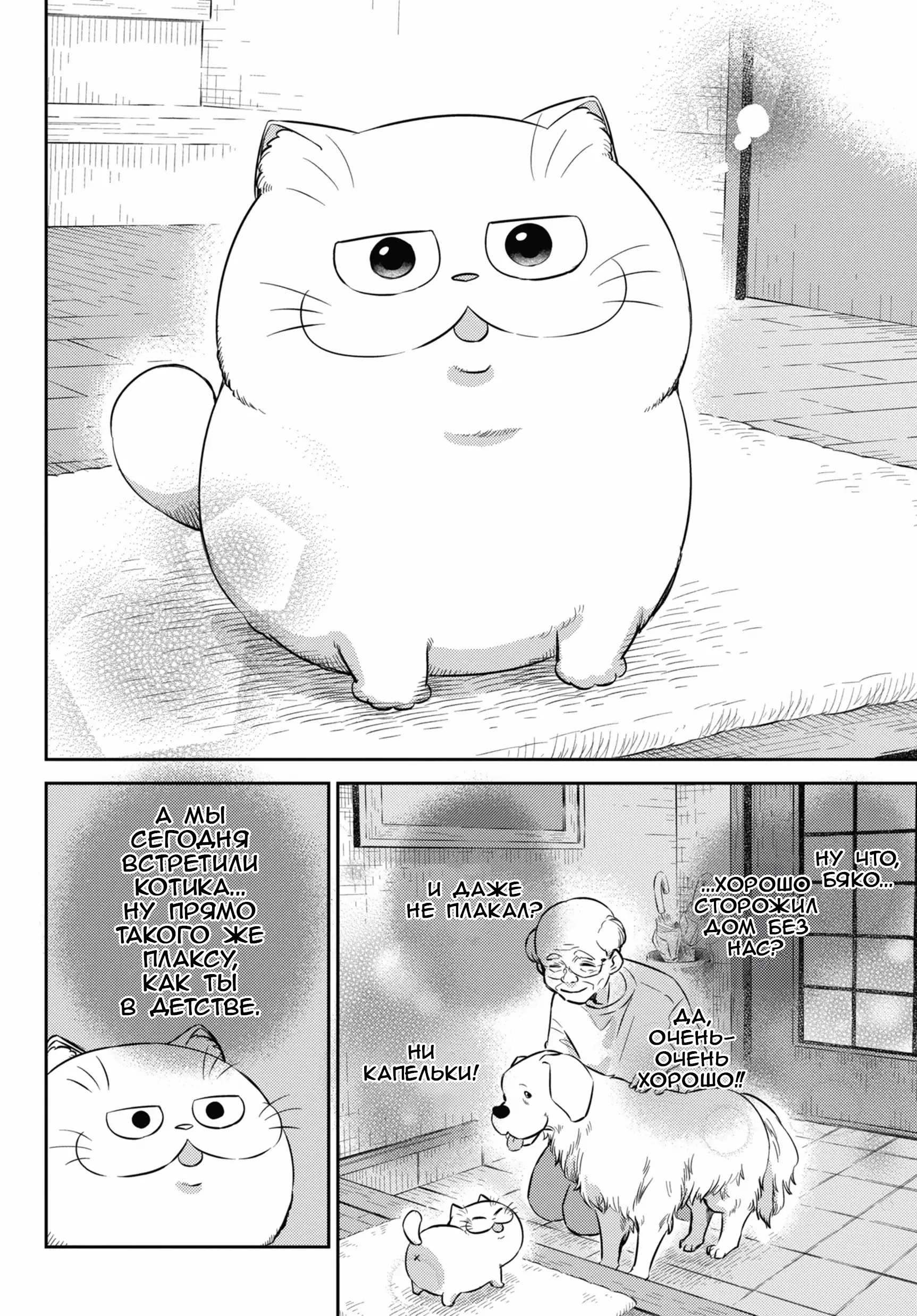 Манга Мужчина и кот - Глава 82 Страница 4