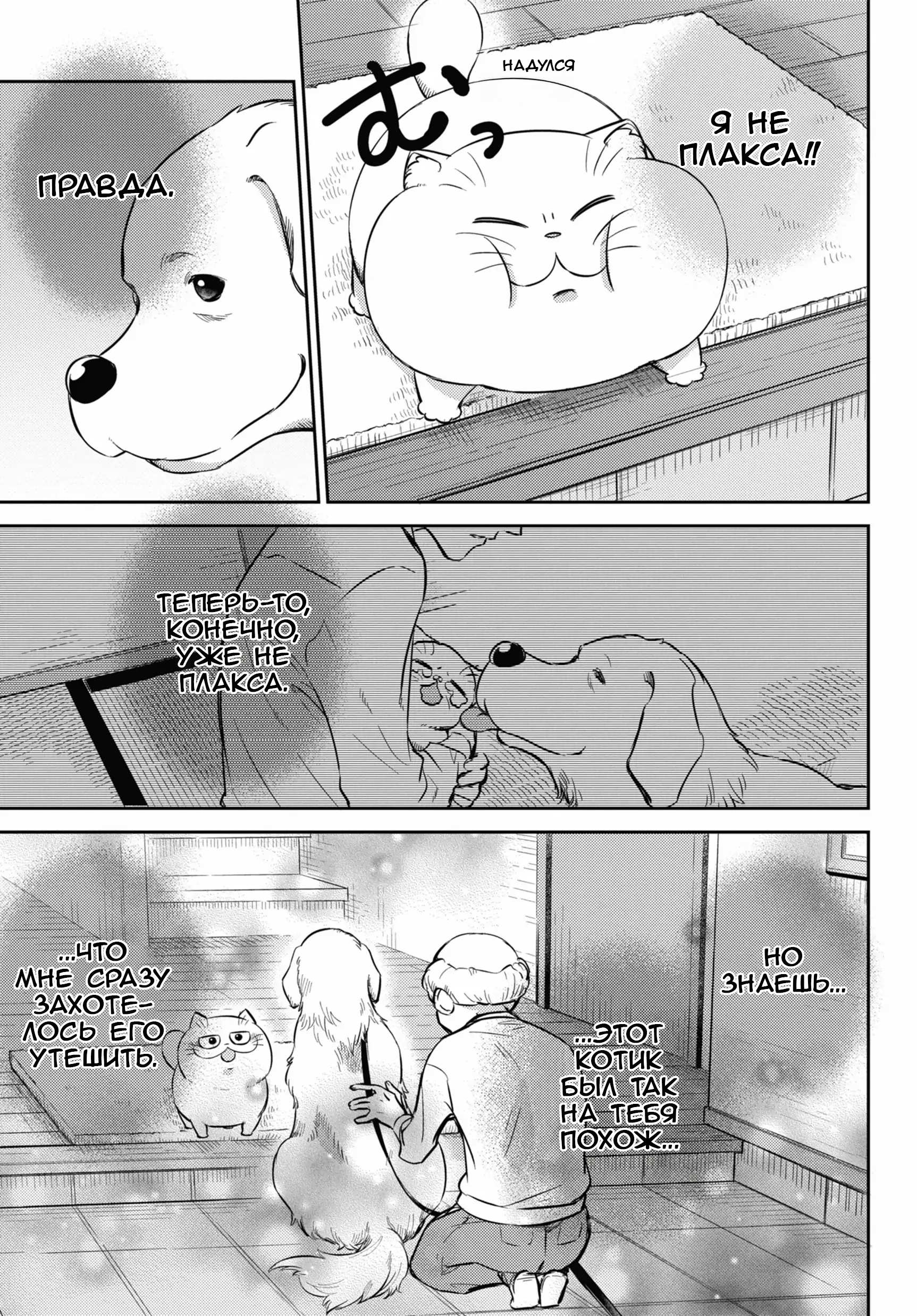 Манга Мужчина и кот - Глава 82 Страница 5