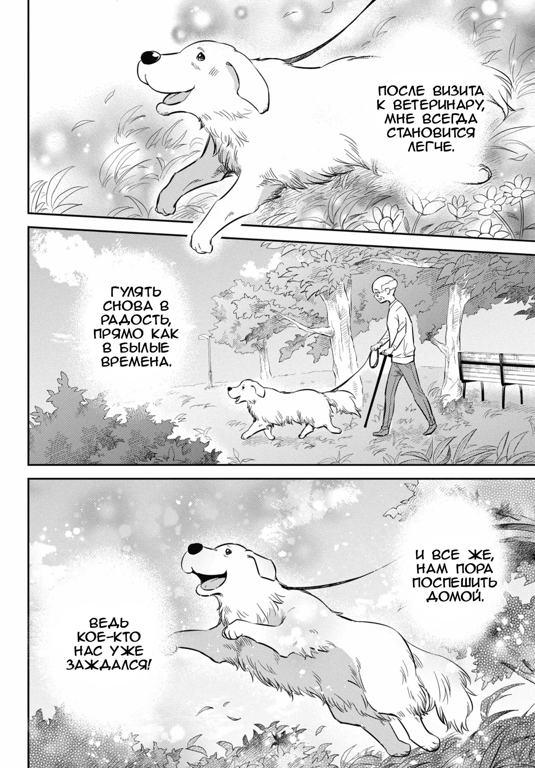 Манга Мужчина и кот - Глава 82 Страница 2