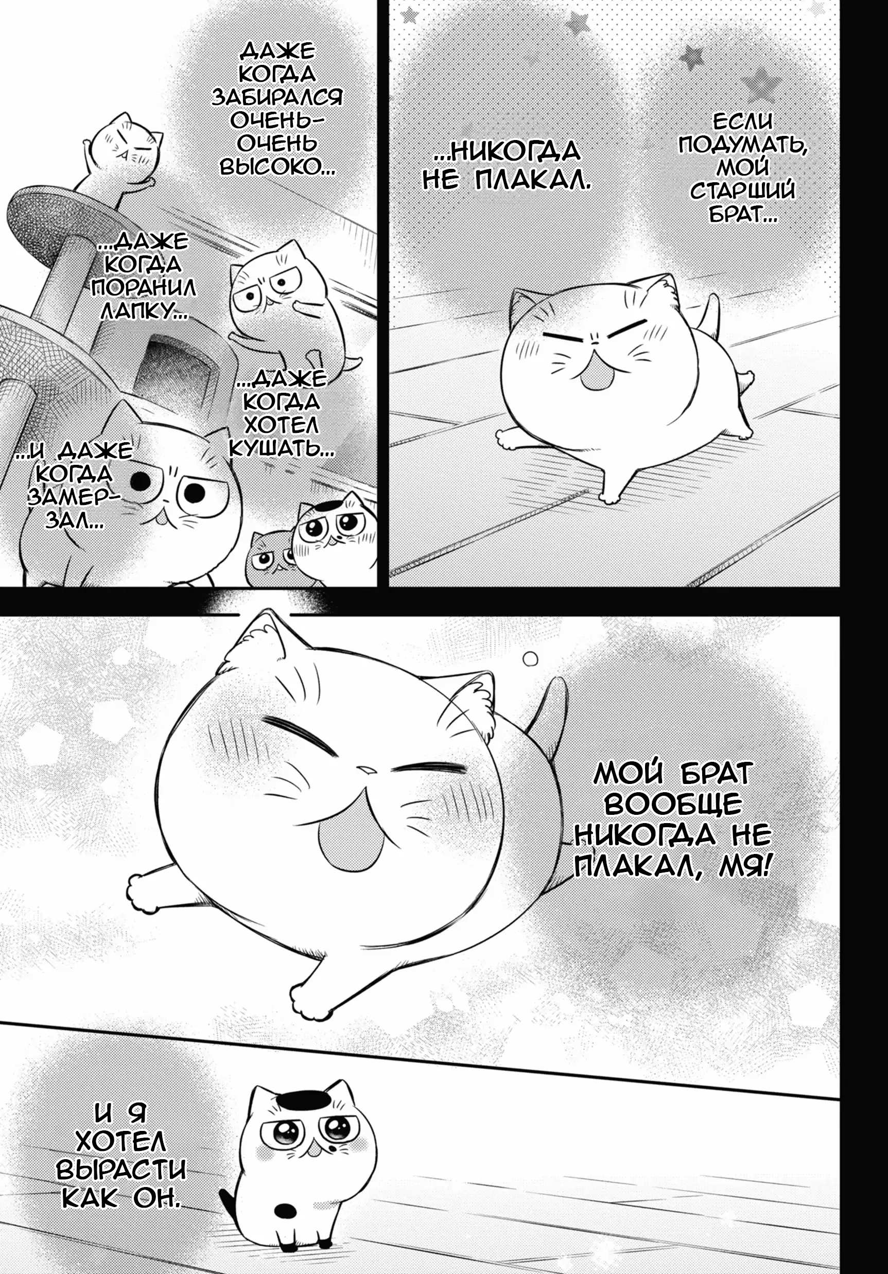 Манга Мужчина и кот - Глава 82 Страница 21