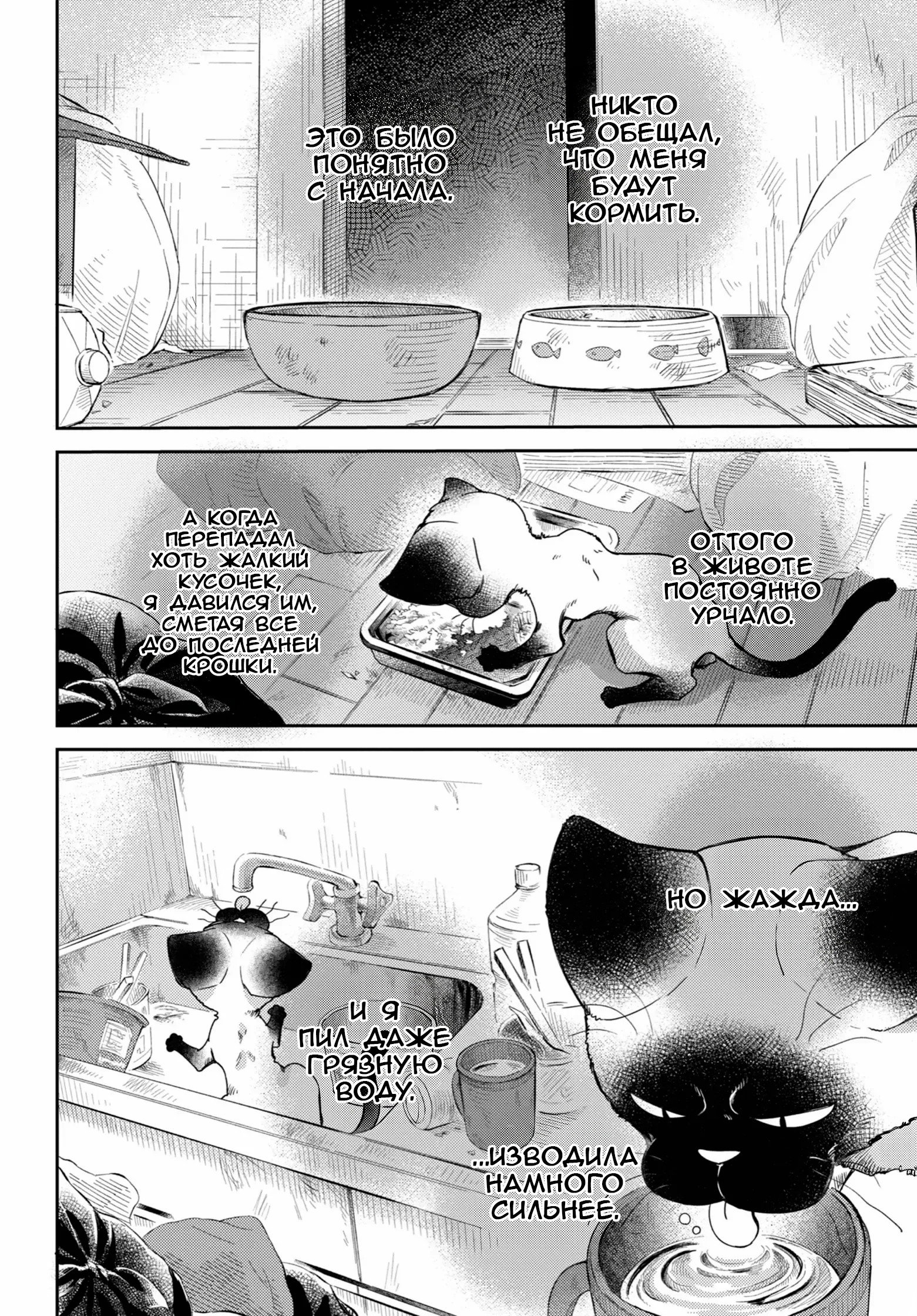 Манга Мужчина и кот - Глава 87 Страница 2