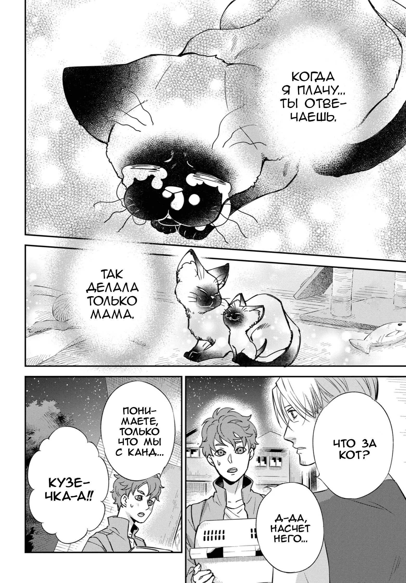 Манга Мужчина и кот - Глава 87 Страница 20