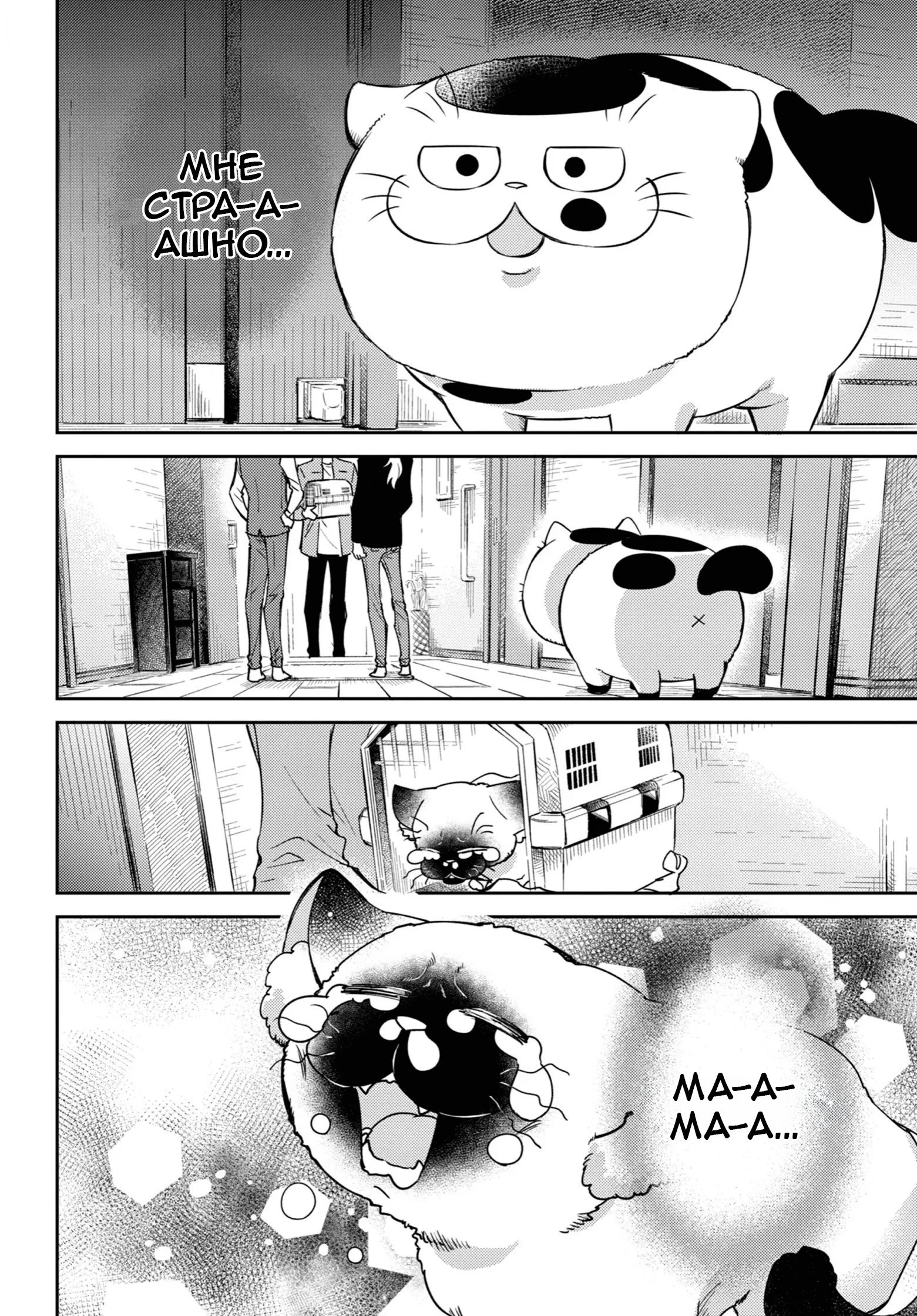 Манга Мужчина и кот - Глава 88 Страница 4