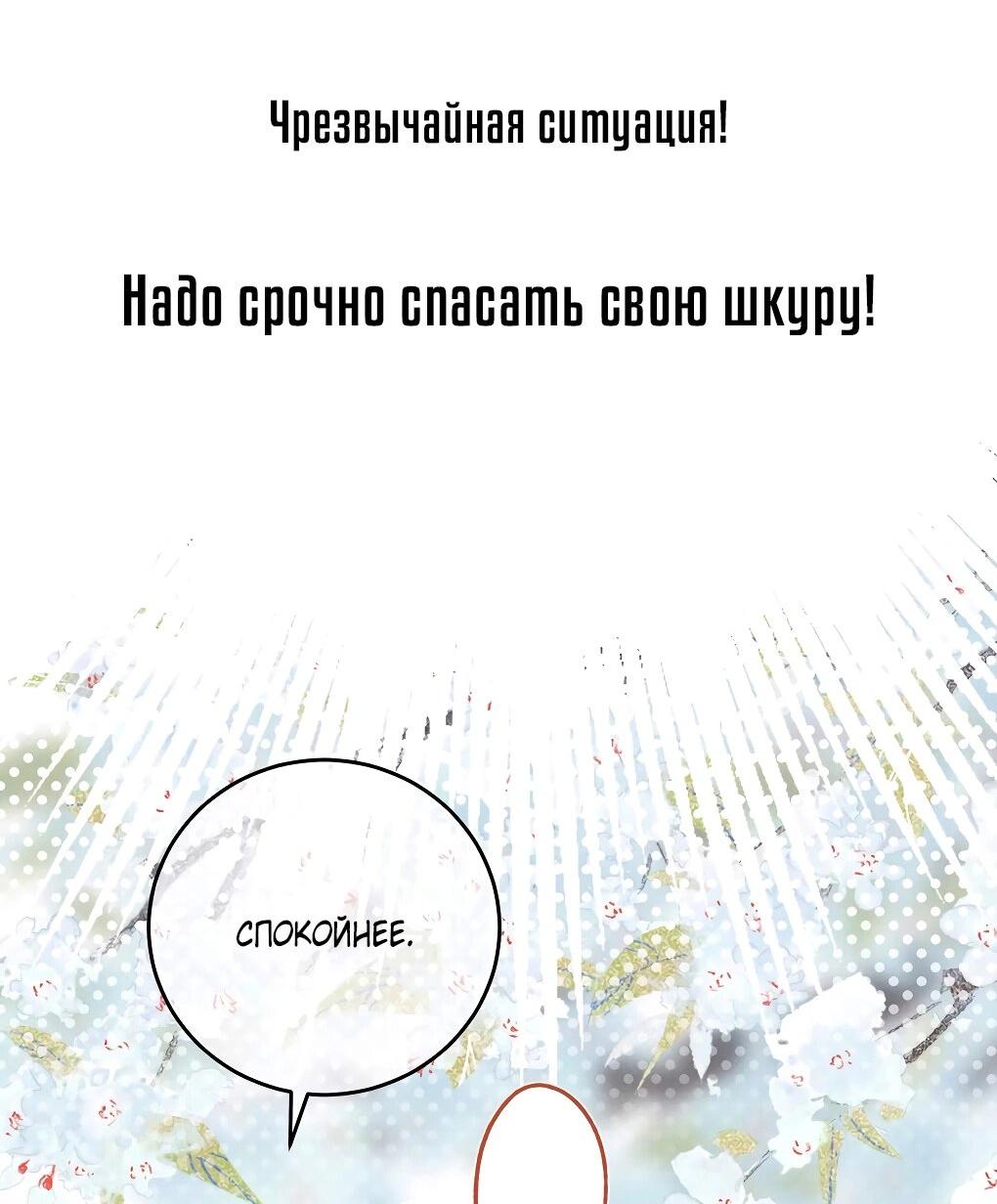 Манга Подношение «солёной рыбы» мастеру - Глава 17 Страница 33