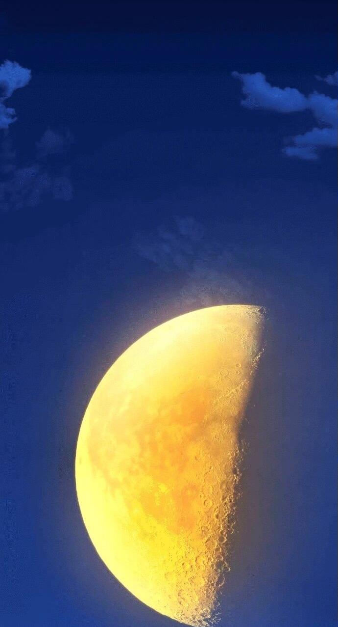 Манга Копай или умри - Глава 4 Страница 207