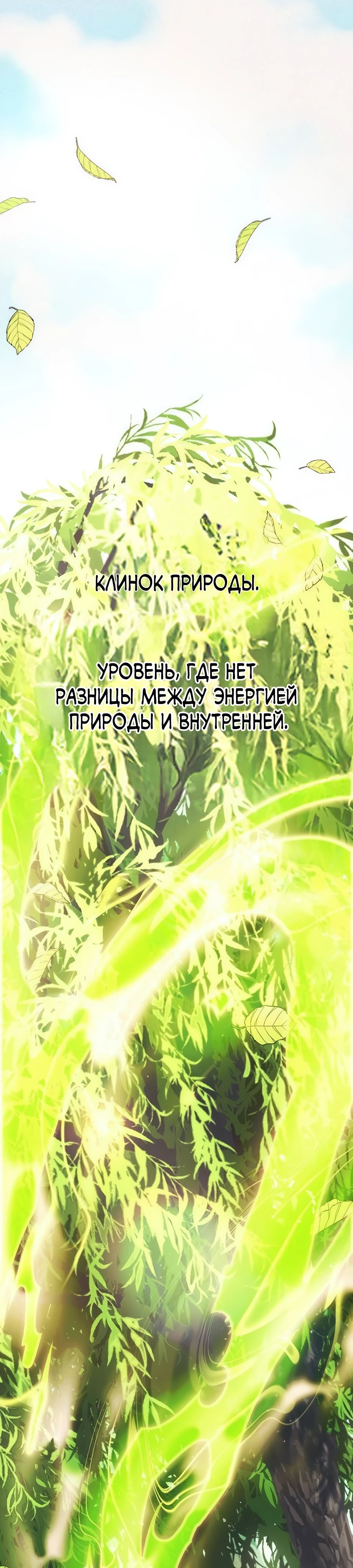 Манга Начинающий шеф-повар - Глава 49 Страница 13