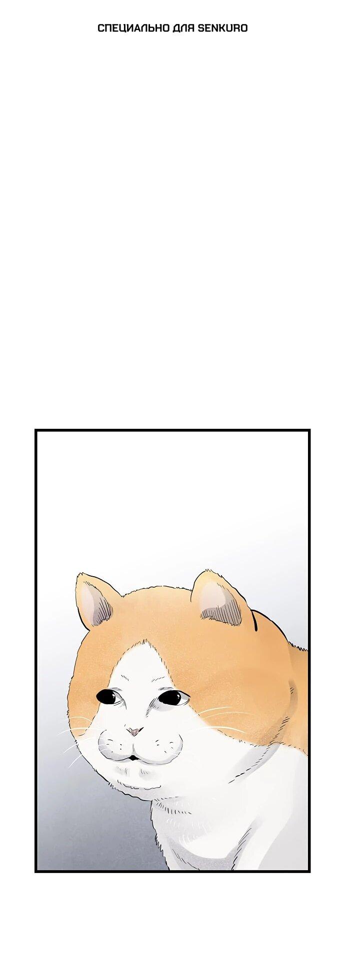 Манга Молчаливый студент-переводчик - Глава 1 Страница 1