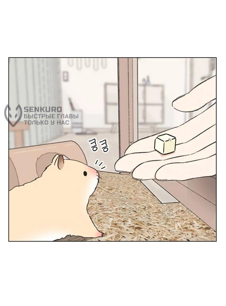 Манга Полная любви молодость - Глава 60 Страница 10