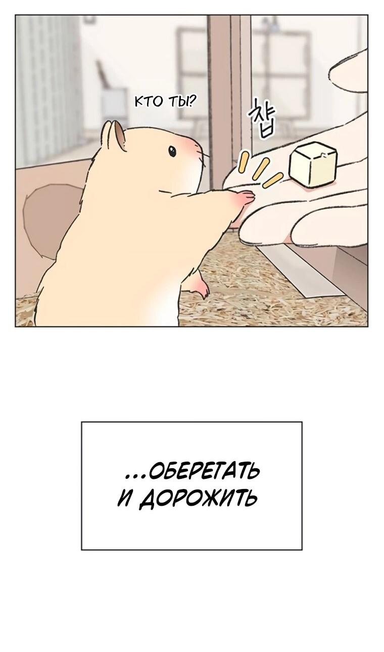 Манга Полная любви молодость - Глава 60 Страница 11