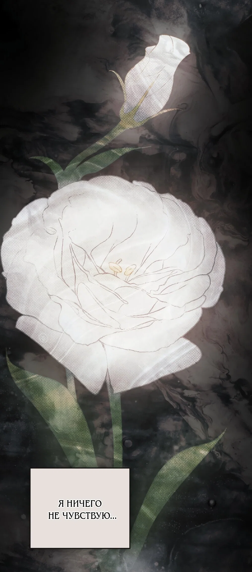 Манга Ваше Величество, я хочу вас - Глава 44 Страница 13