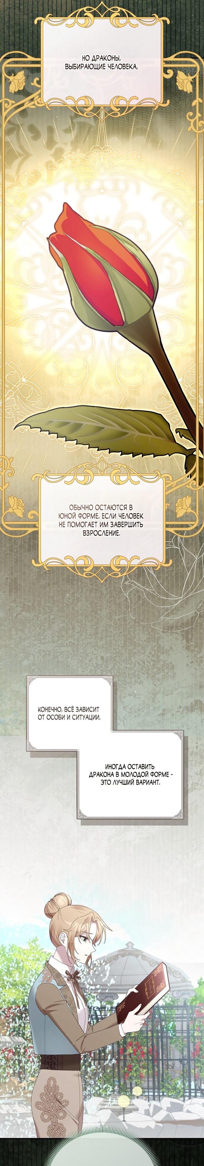 Манга Извините герцог, но я не могу быть вашей собственностью - Глава 40 Страница 30