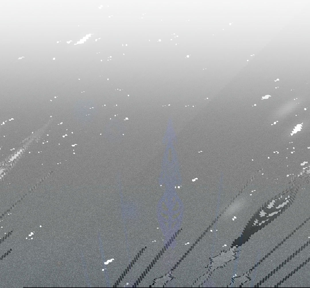 Манга Разрешение на укус - Глава 19 Страница 18