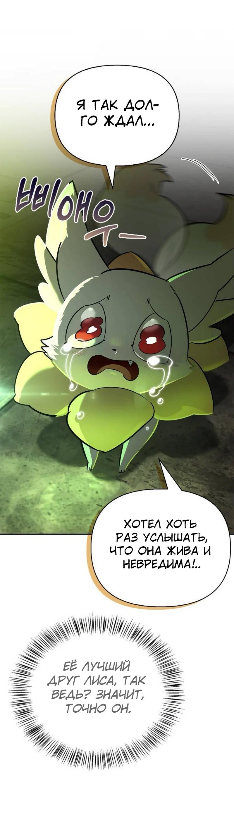 Манга Охотник S-класса, который лечит монстров - Глава 21 Страница 42