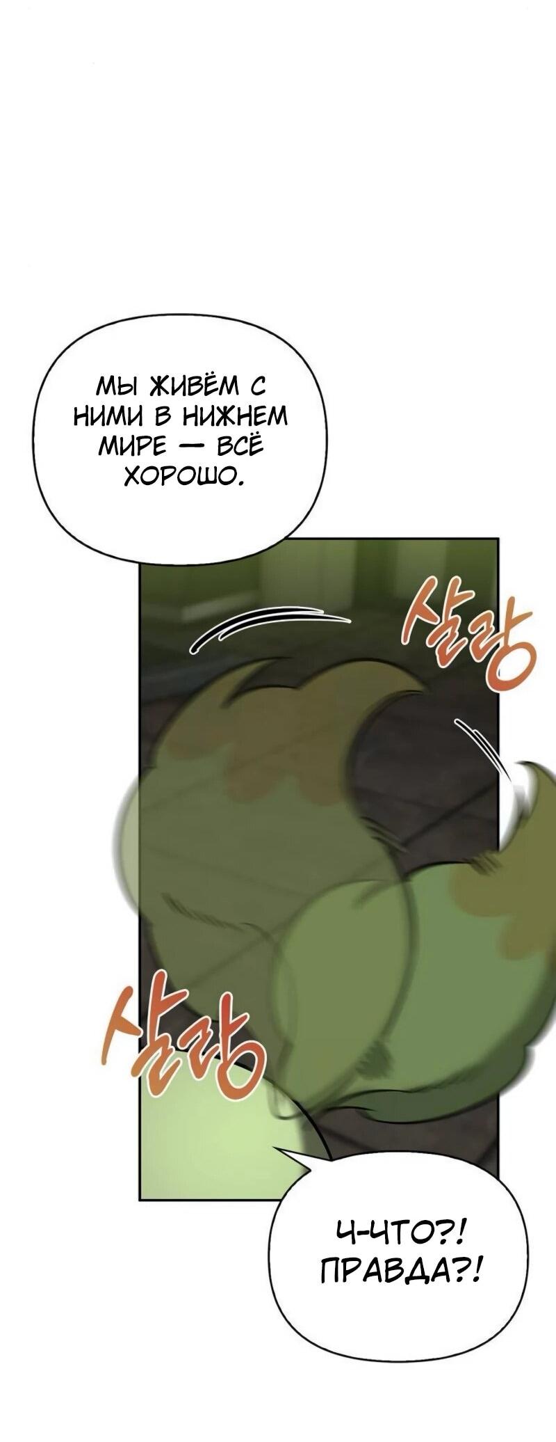 Манга Охотник S-класса, который лечит монстров - Глава 21 Страница 41