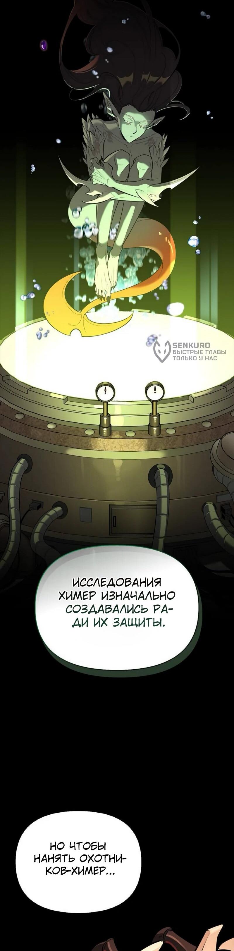 Манга Охотник S-класса, который лечит монстров - Глава 20 Страница 44