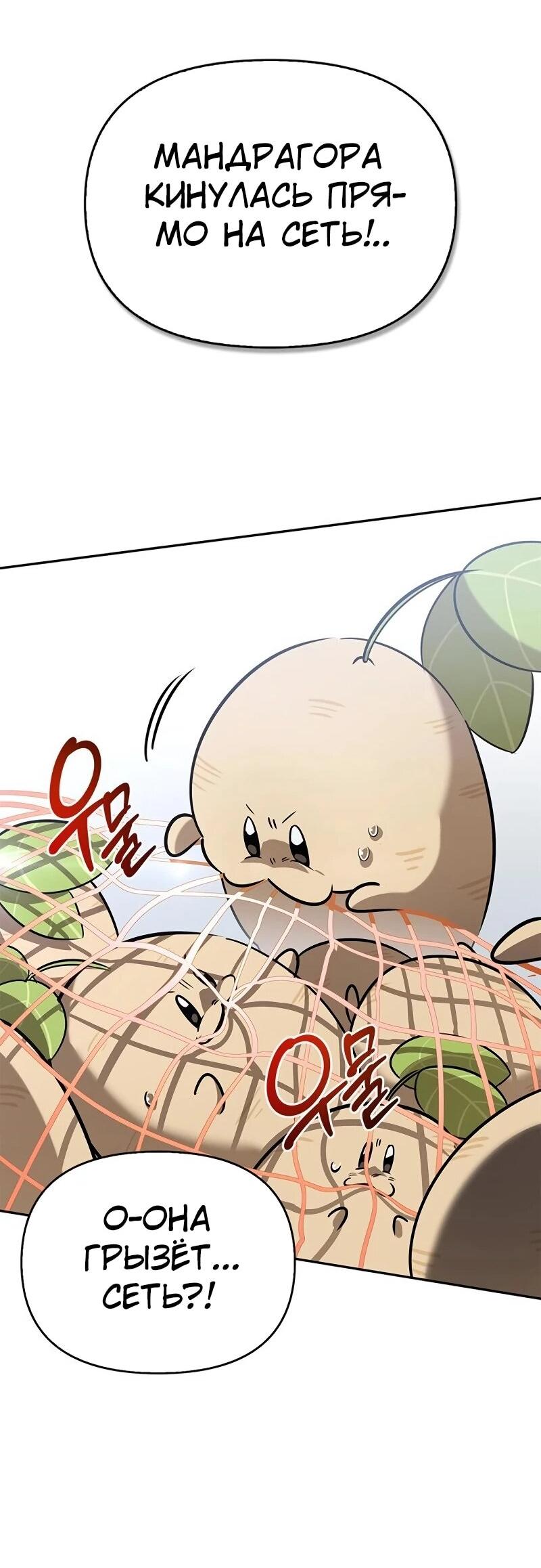 Манга Охотник S-класса, который лечит монстров - Глава 25 Страница 65