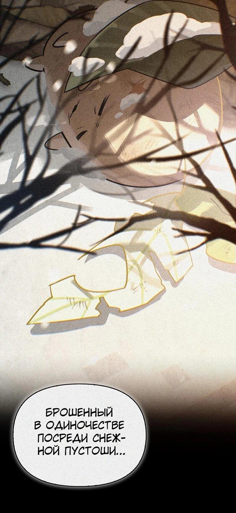 Манга Охотник S-класса, который лечит монстров - Глава 24 Страница 57