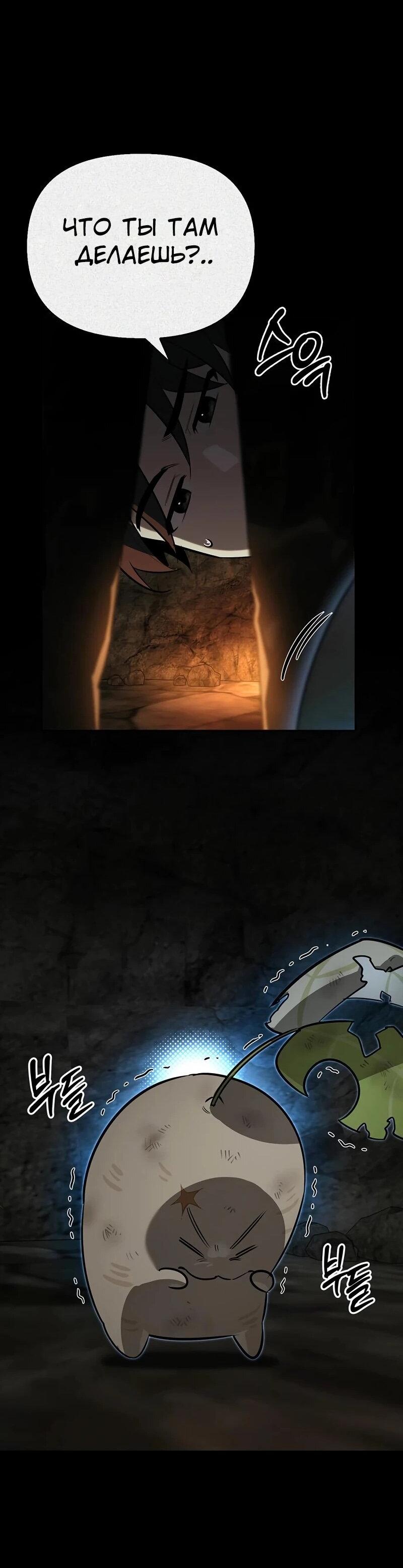 Манга Охотник S-класса, который лечит монстров - Глава 24 Страница 33