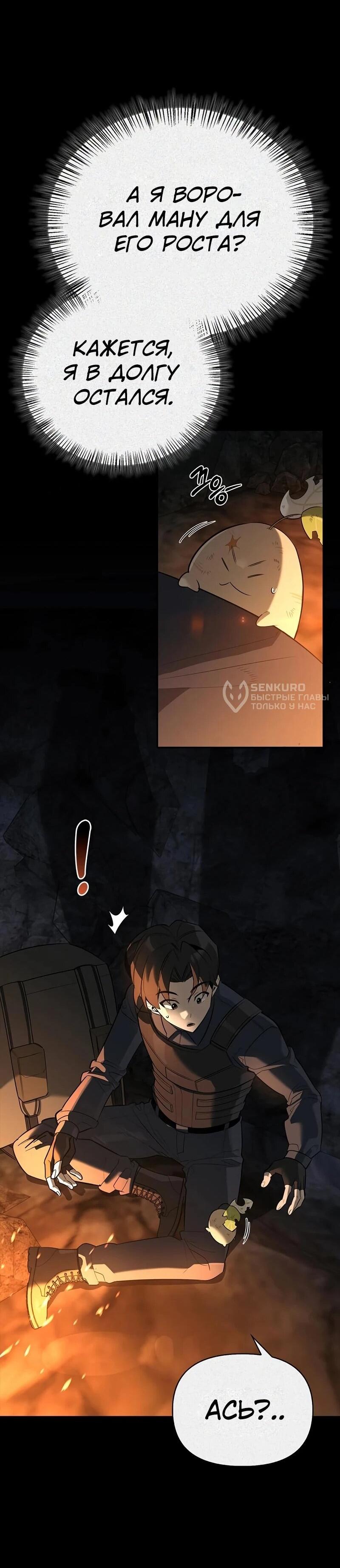 Манга Охотник S-класса, который лечит монстров - Глава 24 Страница 43