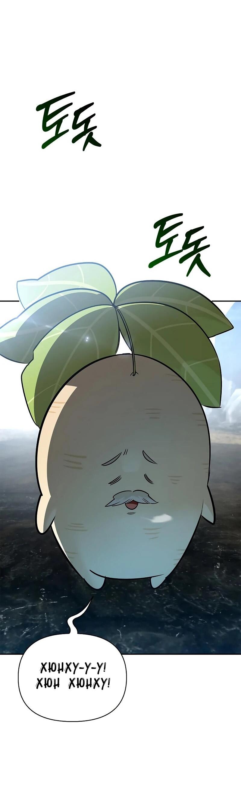 Манга Охотник S-класса, который лечит монстров - Глава 27 Страница 65