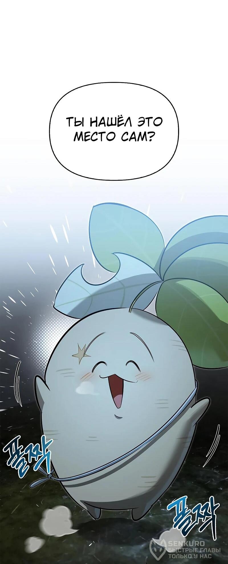 Манга Охотник S-класса, который лечит монстров - Глава 27 Страница 62