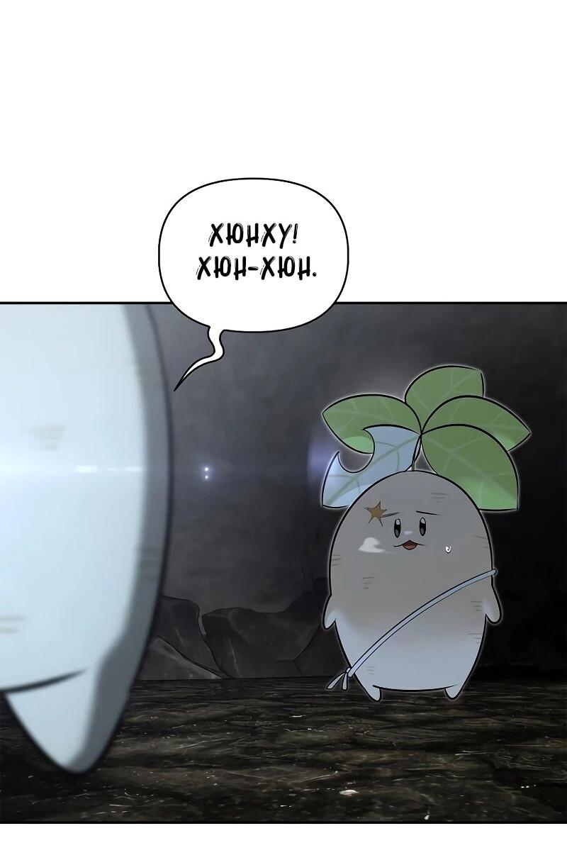 Манга Охотник S-класса, который лечит монстров - Глава 27 Страница 66