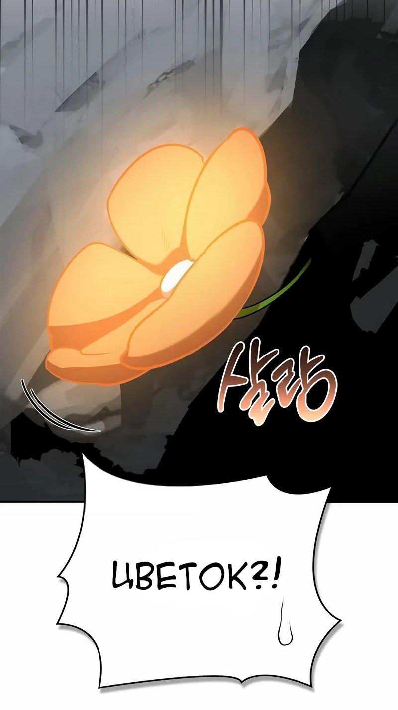 Манга Охотник S-класса, который лечит монстров - Глава 29 Страница 79