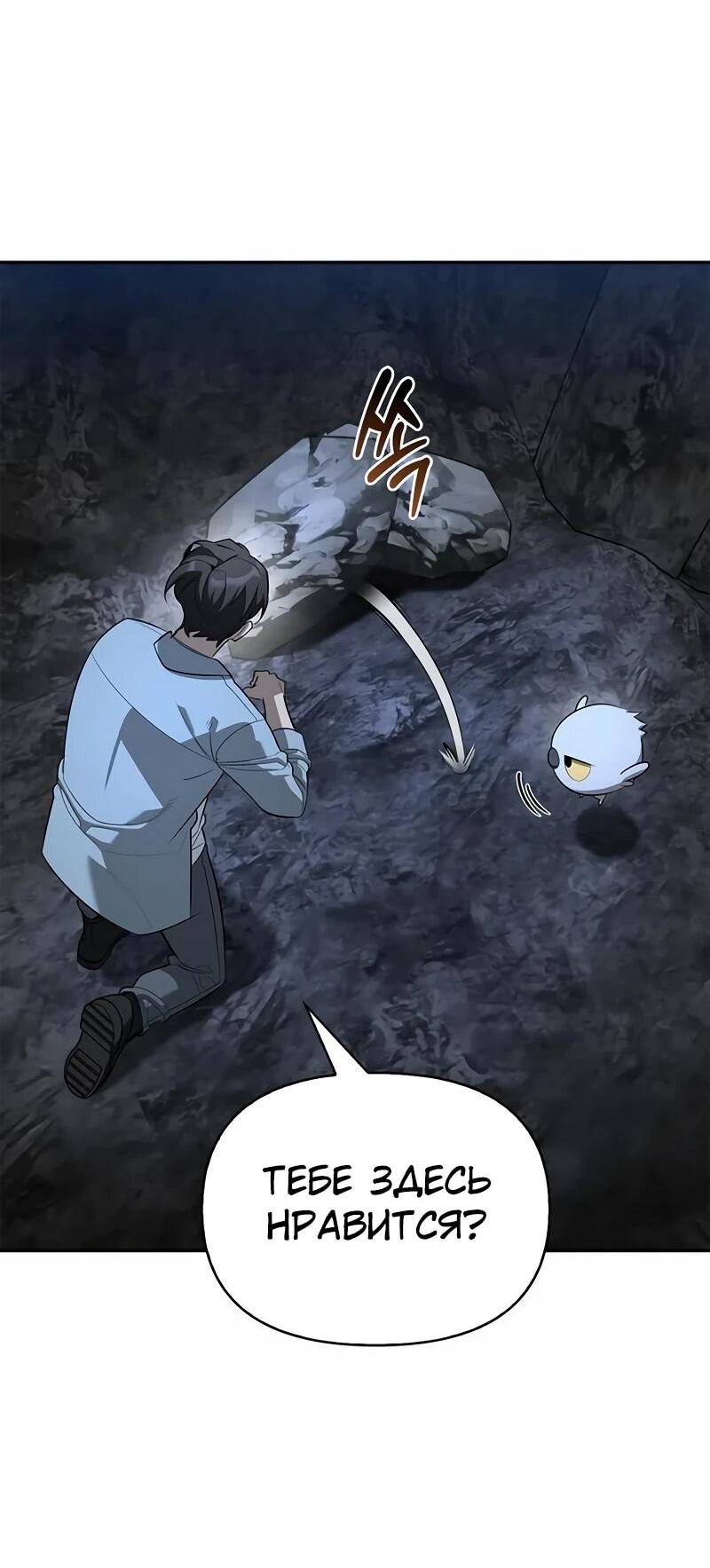 Манга Охотник S-класса, который лечит монстров - Глава 29 Страница 68