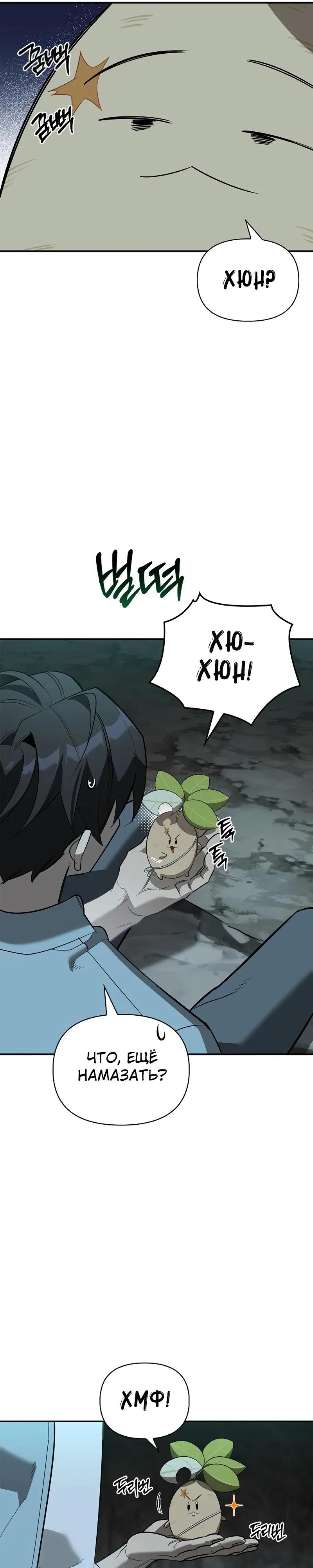 Манга Охотник S-класса, который лечит монстров - Глава 32 Страница 27