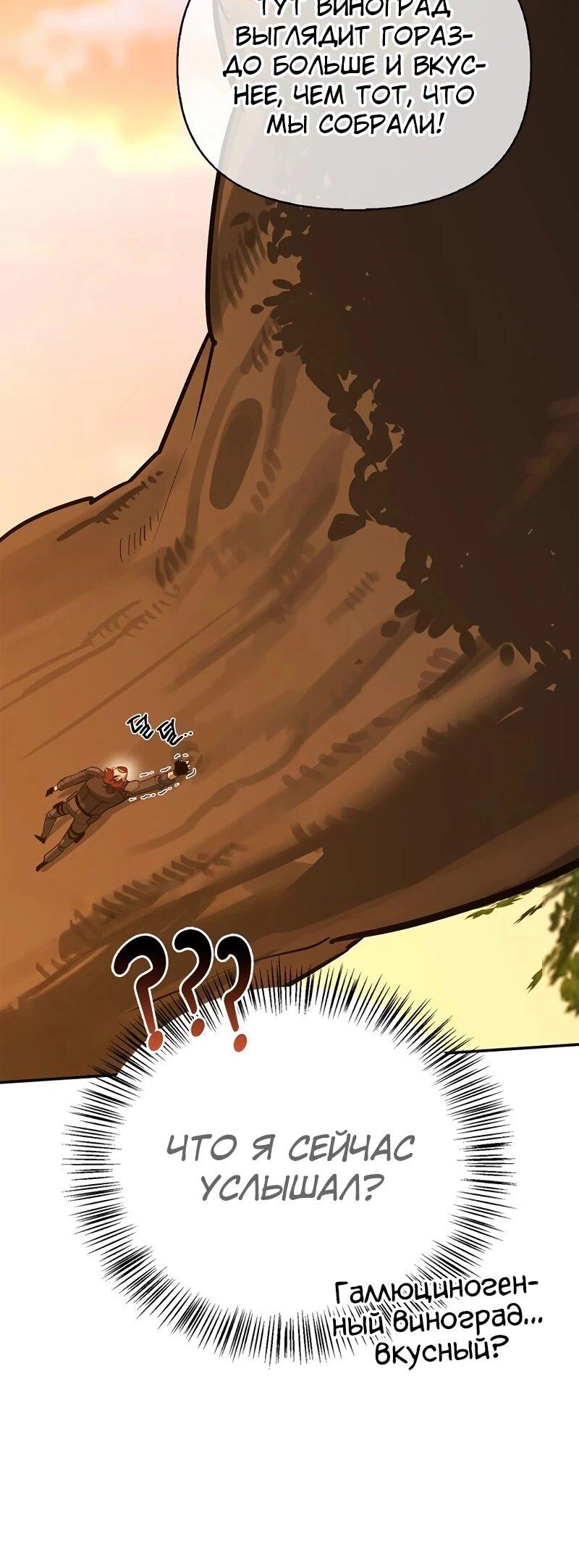 Манга Охотник S-класса, который лечит монстров - Глава 35 Страница 29