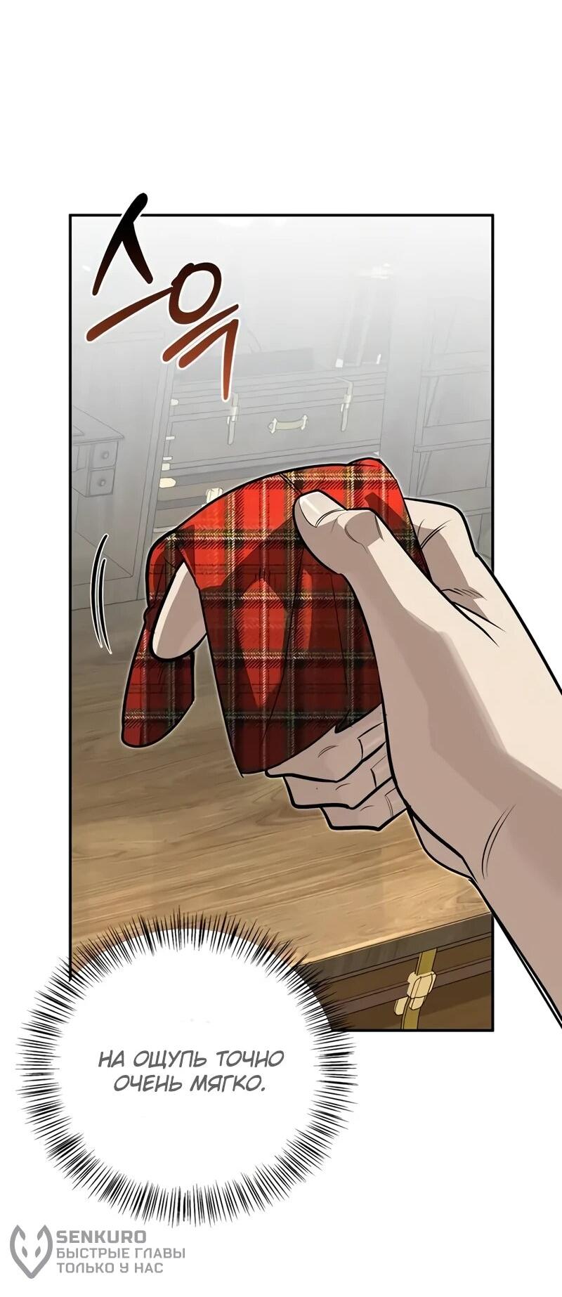 Манга Охотник S-класса, который лечит монстров - Глава 41 Страница 29