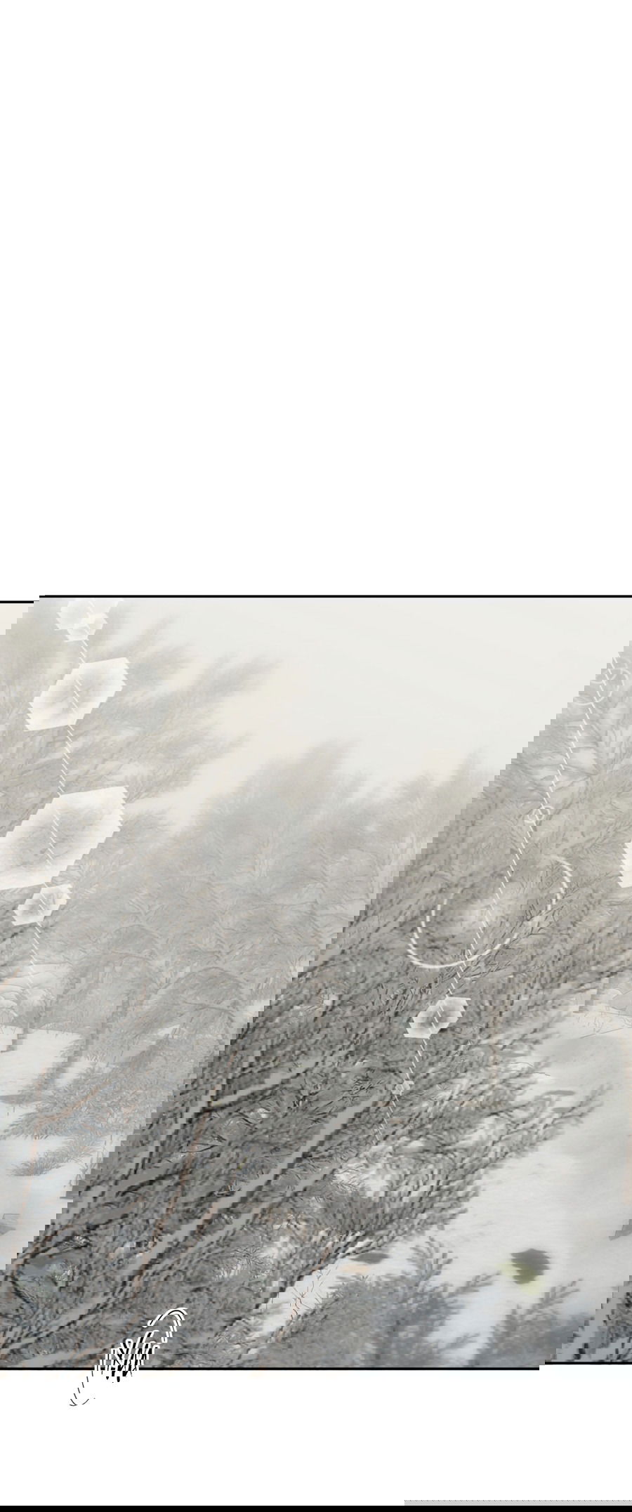 Манга Монстр дремлющего леса - Глава 20 Страница 26