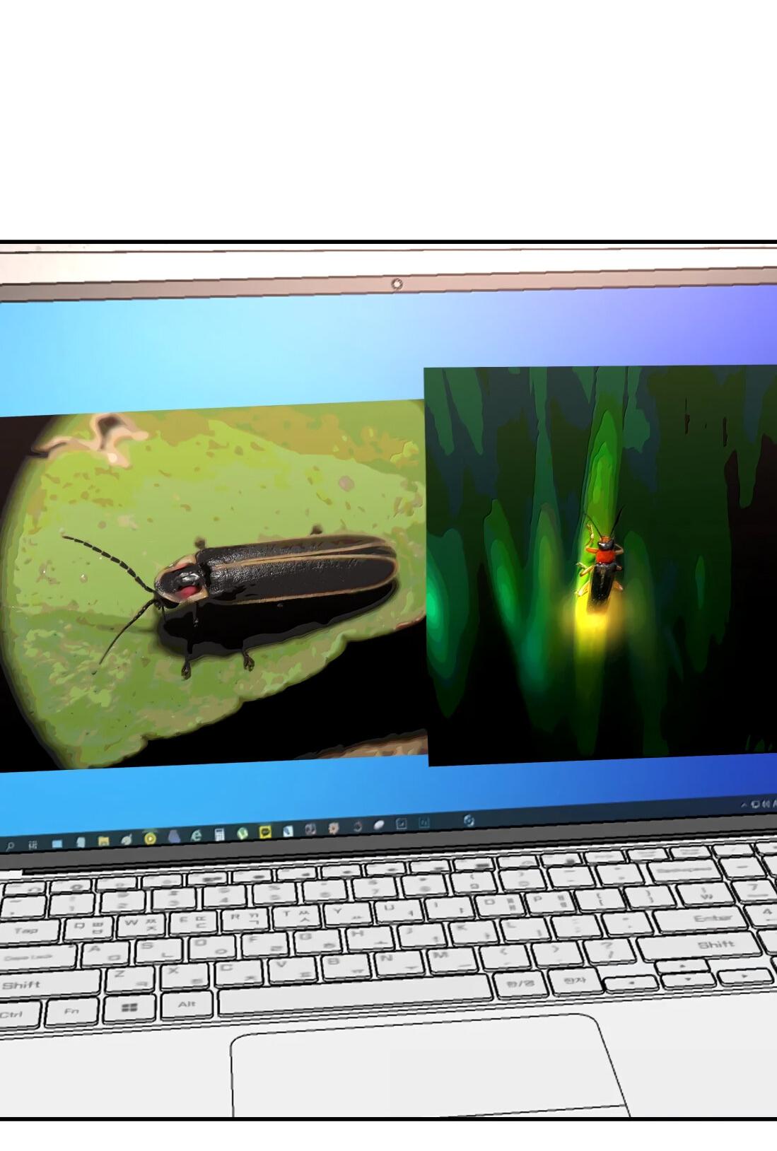 Манга Тигр нюхает розу - Глава 16 Страница 26