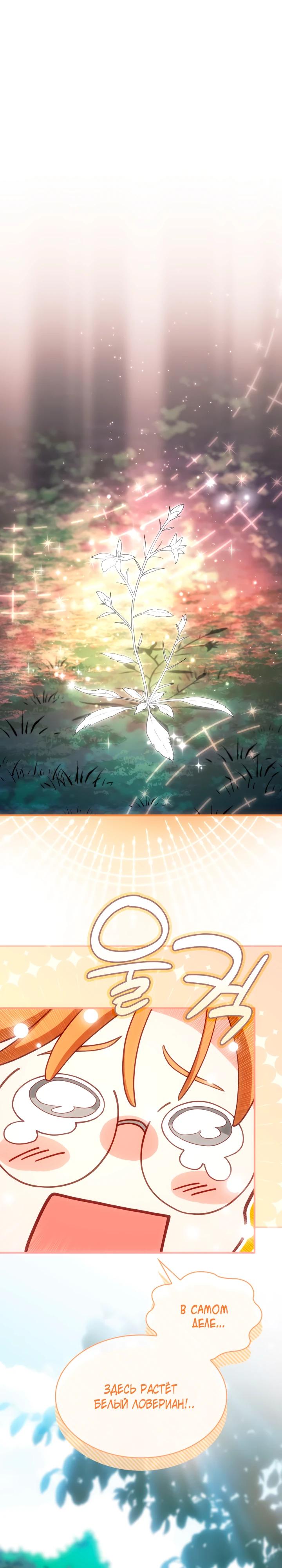 Манга Хозяйка магической башни, ставшая эрцгерцогиней - Глава 23 Страница 9