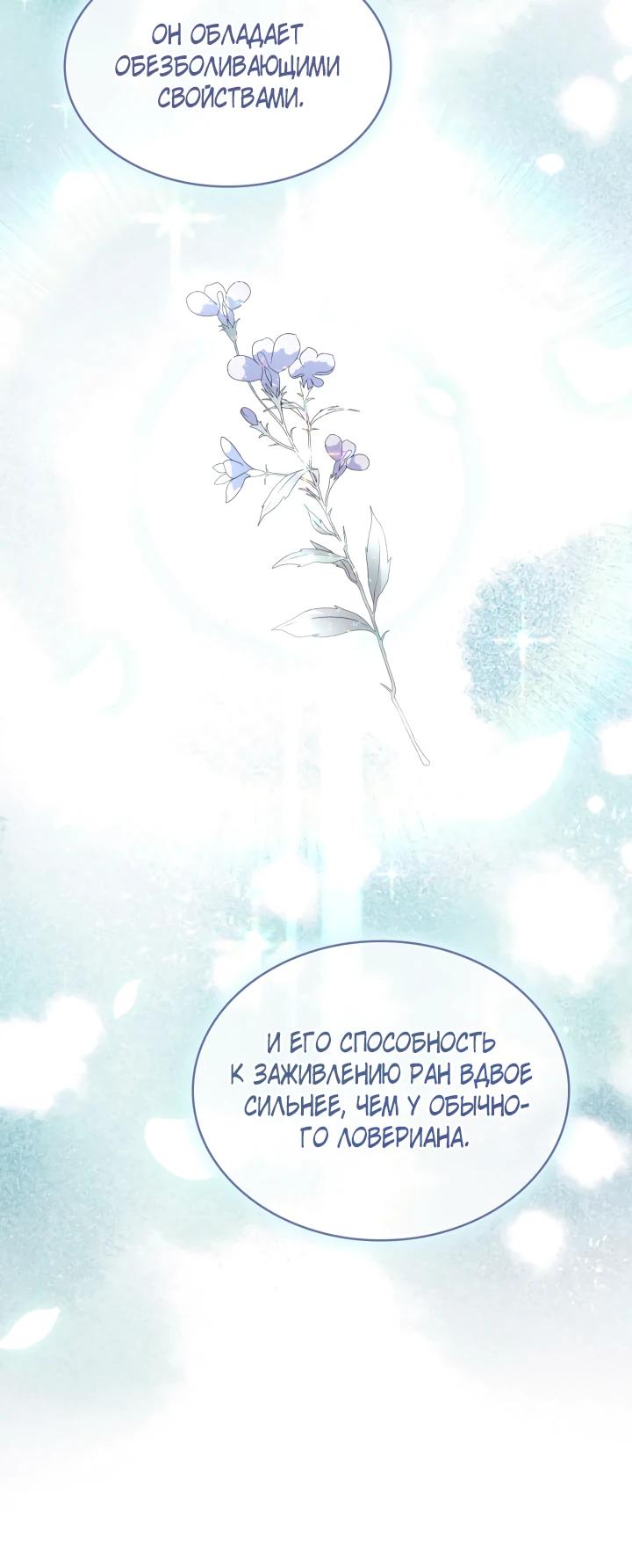 Манга Хозяйка магической башни, ставшая эрцгерцогиней - Глава 22 Страница 29