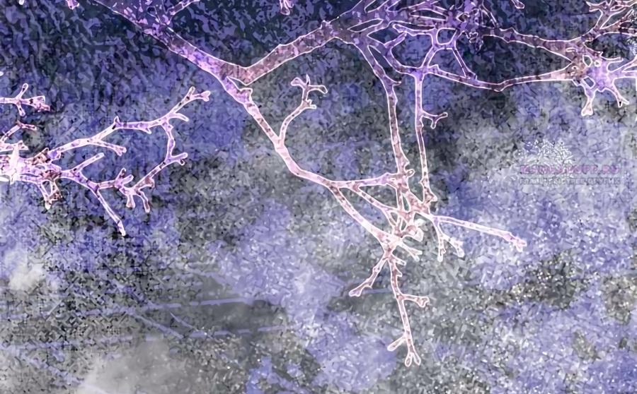 Манга Счастливый конец наступит после мести. - Глава 36 Страница 94