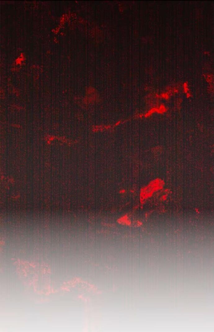 Манга Счастливый конец наступит после мести. - Глава 20 Страница 5