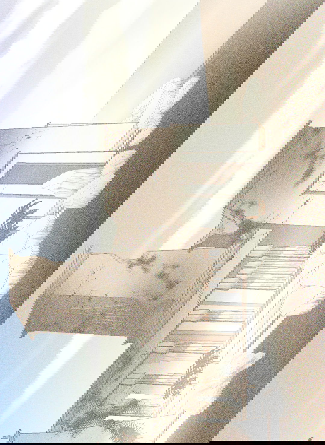 Манга Святилище Монту - Глава 6 Страница 115