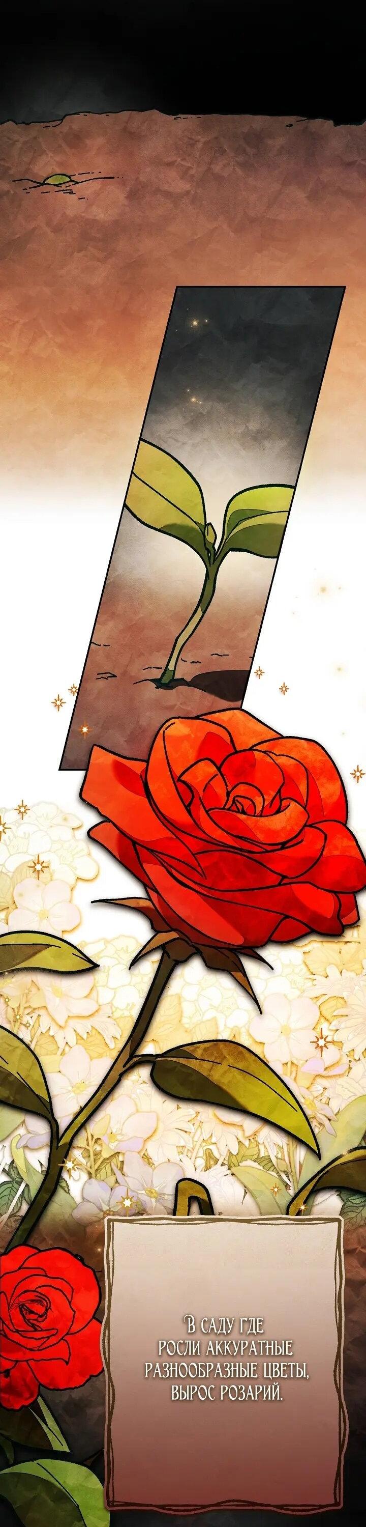 Манга Добро пожаловать в особняк роз - Глава 36 Страница 38