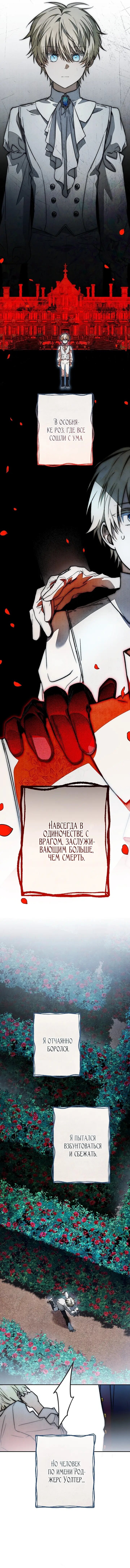 Манга Добро пожаловать в особняк роз - Глава 37 Страница 44