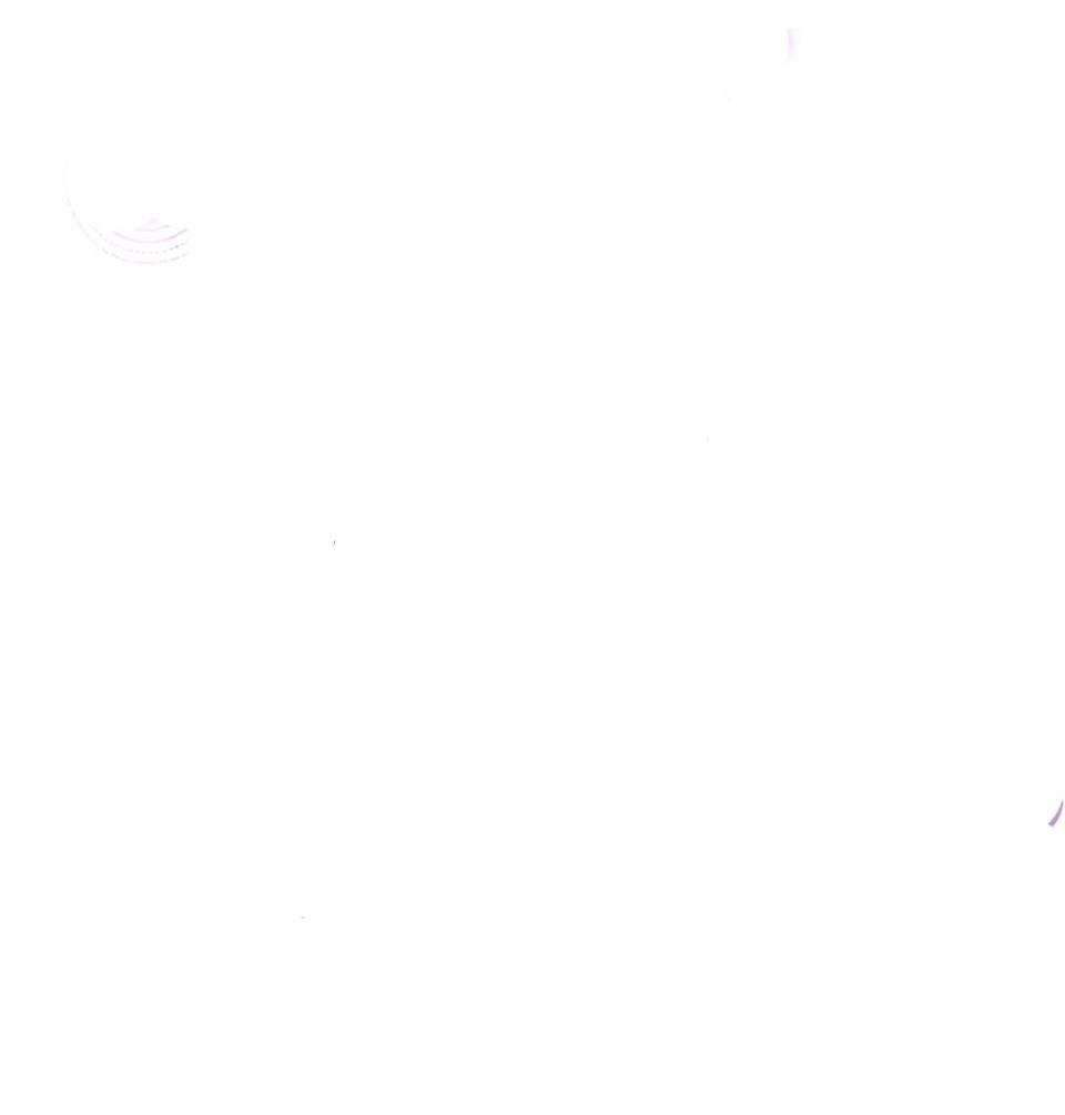 Манга Стала фальшивой дочерью, угождая настоящей - Глава 7 Страница 2