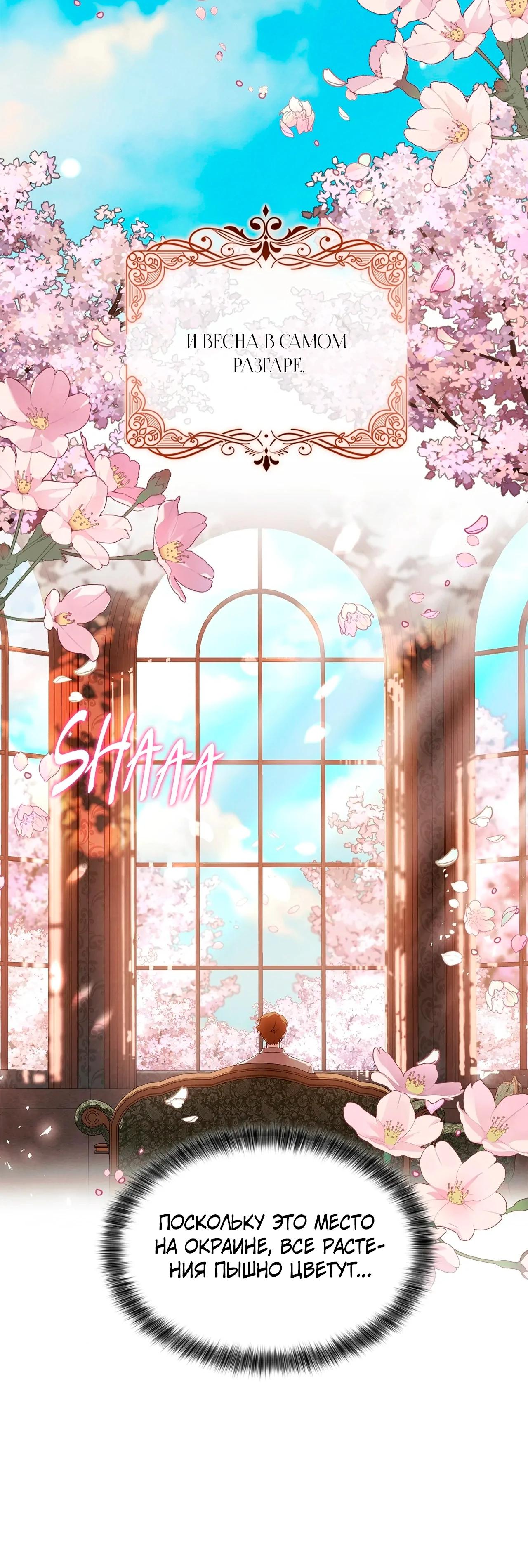 Манга Ведьме, забывшей свою птицу - Глава 14 Страница 42