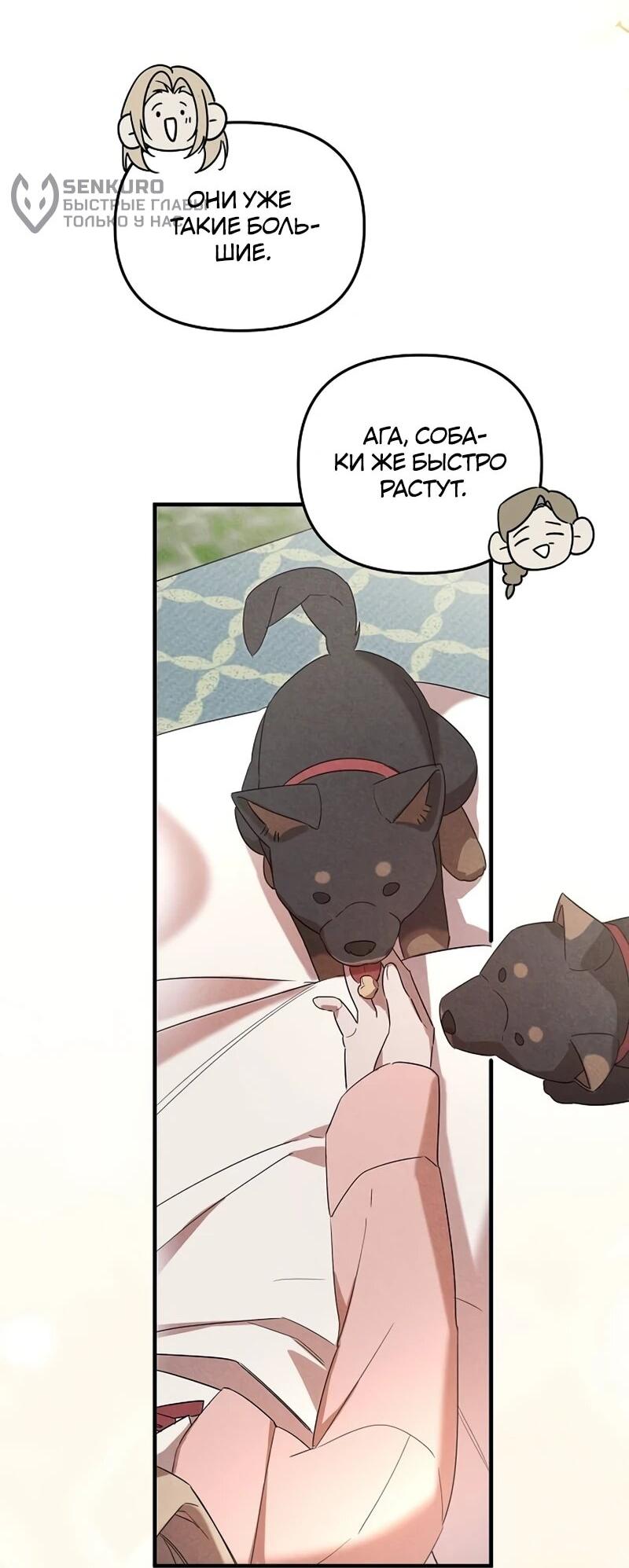 Манга На том месте, где сломалась роза - Глава 25 Страница 12