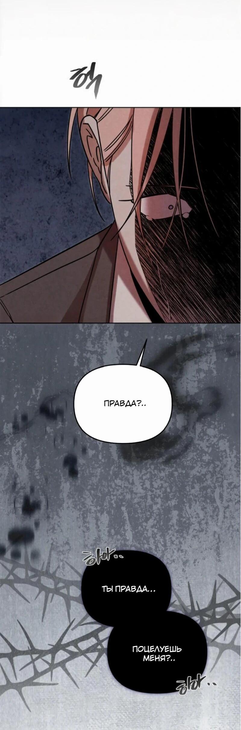Манга На том месте, где сломалась роза - Глава 21 Страница 40