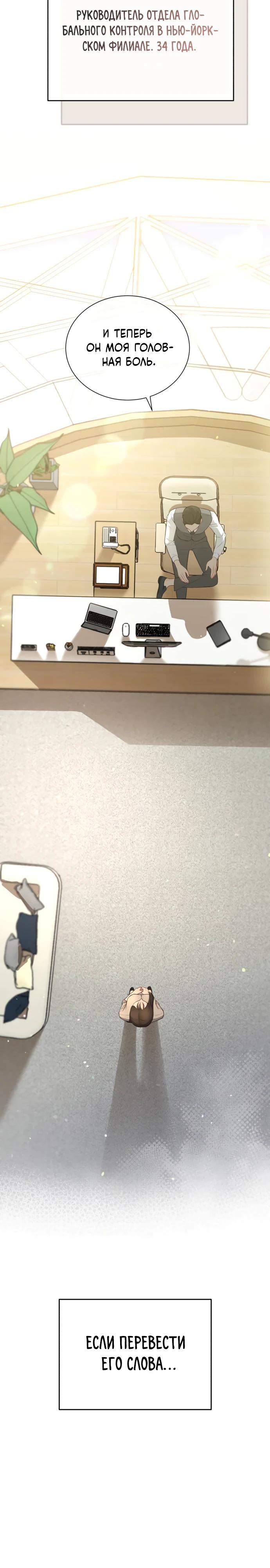 Манга Полномочия секретаря - Глава 1 Страница 13