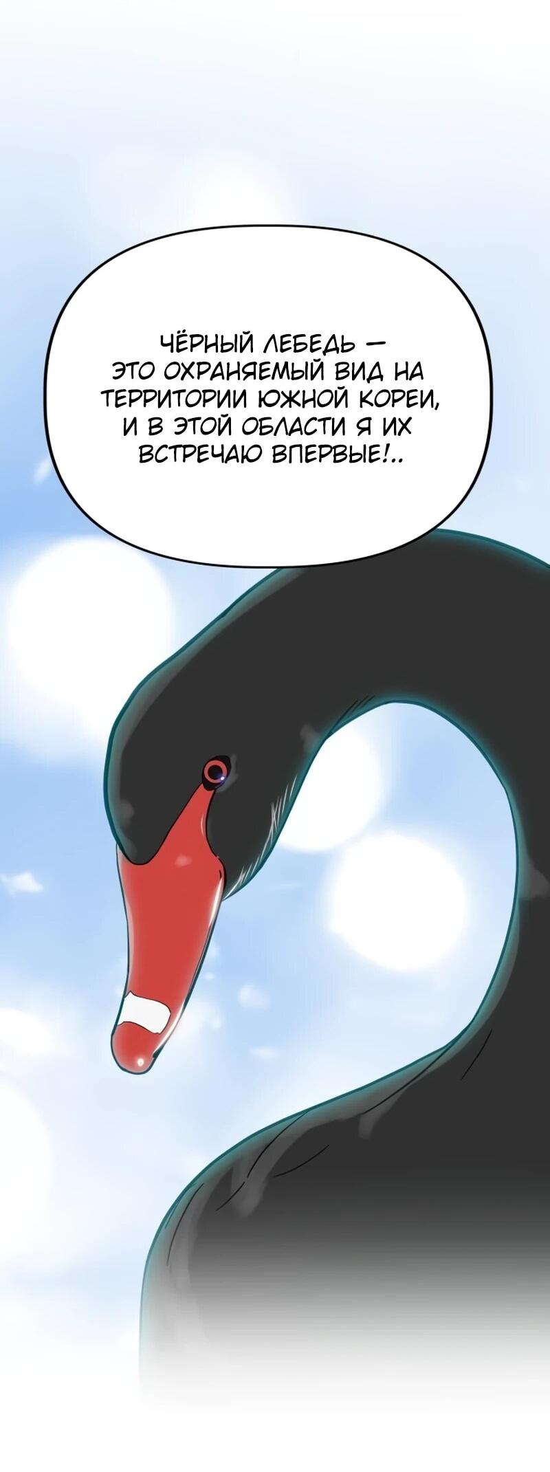 Манга Министерство стратегии и финансов - Глава 39 Страница 59